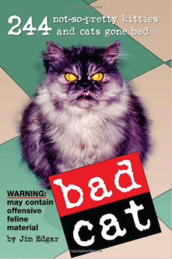 Bad Cat cover